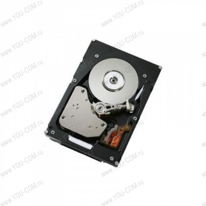 IBM Express 2TB 7.2K NL SATA 3.5" SS HDD(x3100 M4/x3200 M3/x3250 M3 M4/x3400 M3/x3500M3/x3755 M3) (42D0787)