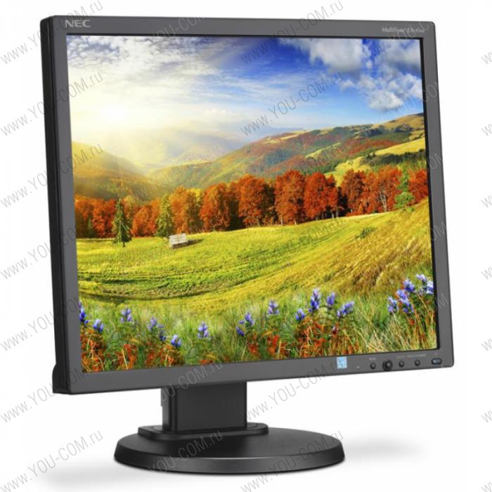 Монитор NEC 19" EA193Mi-BK LCD Bk/Bk ( IPS; 5:4; 250cd/m2; 1000:1; 6ms; 1280x1024; 178/178; VGA; DVI-D; DP; HAS 110mm; Swiv 45/45; Tilt; Pivot; Spk 1+1W)