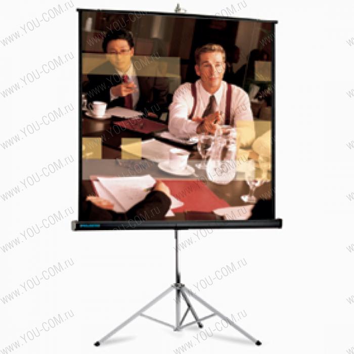 [10430033] Экран Projecta Piсture King 135x178см (84") Matte White