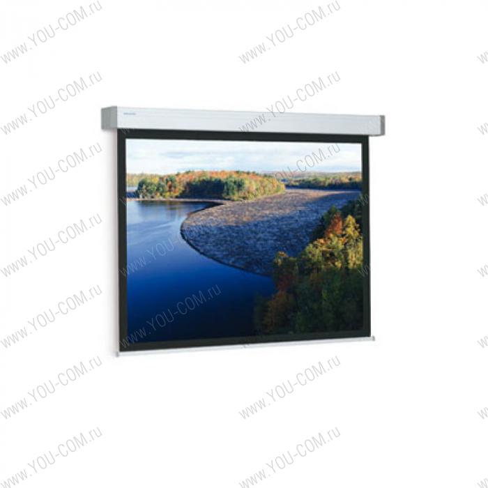 Проекционный экран Projecta Elpro Electrol (10191910) 173x300 см