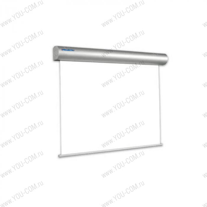 [10130230] Экран Projecta Master Electrol 300x400см (197") Matte White