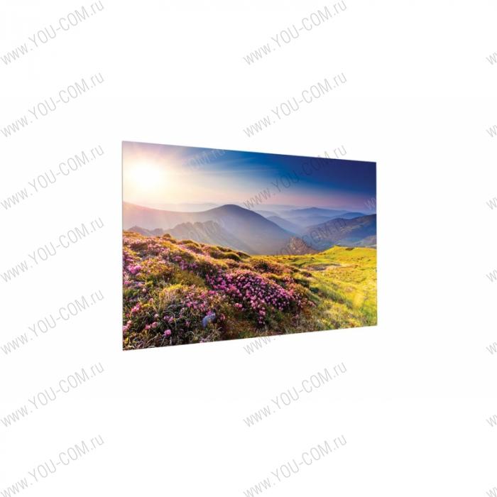 [10600724] Экран Projecta FullVision 150x240 см (111") Matte White 16:10