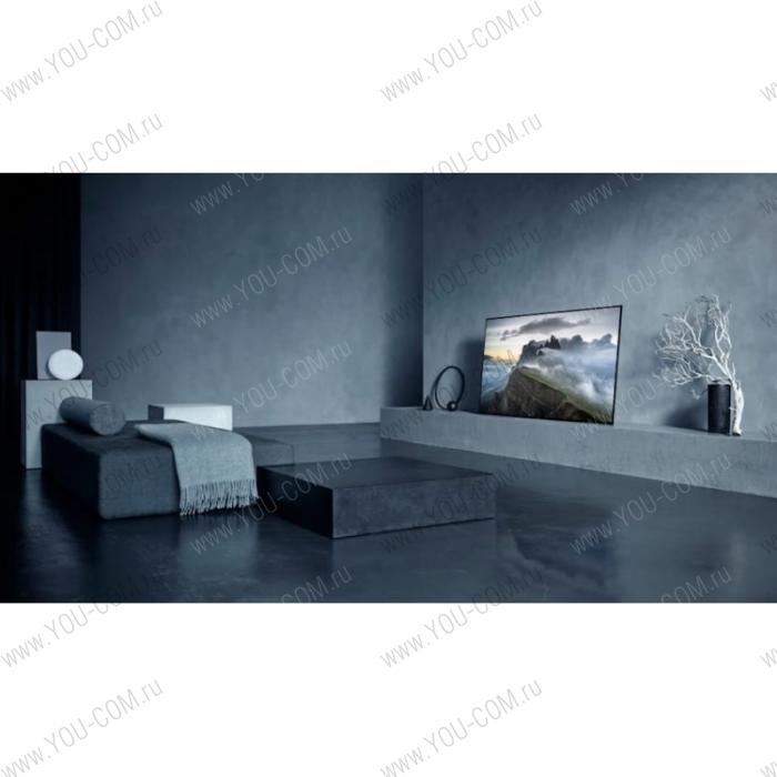 OLED телевизор Sony KD-55A1