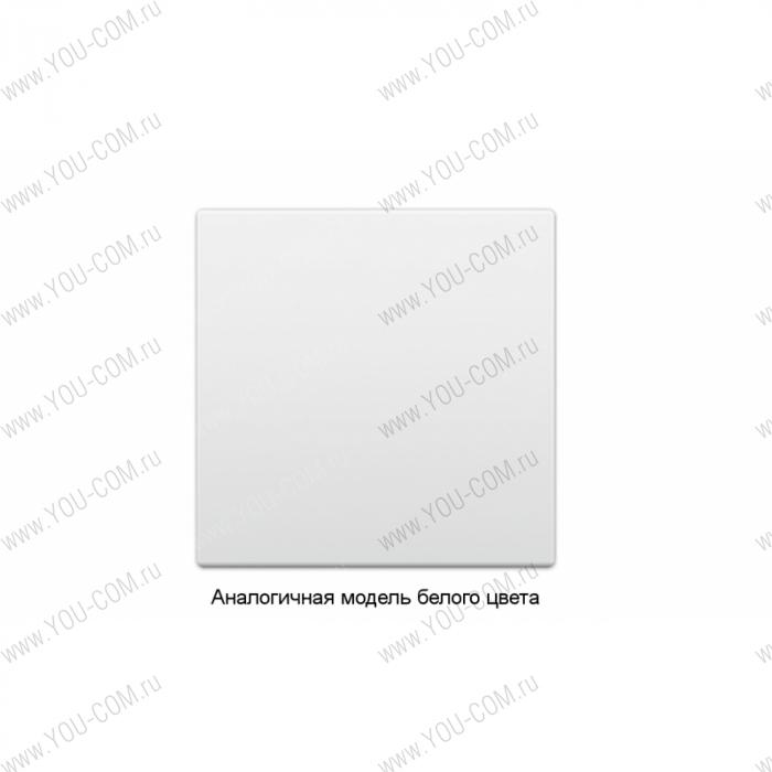 Заглушка Extron Blank Plate