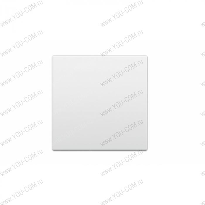 Заглушка Extron Blank Plate