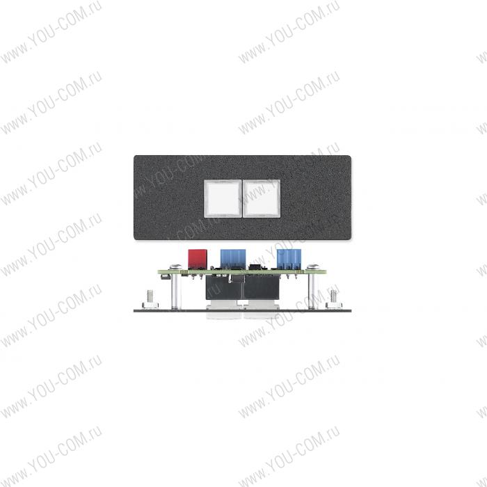 Панель управления Extron CCR 2BLB
