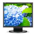 Монитор NEC 17" E172M-BK LCD Bk/Bk ( TN; 5:4; 250cd/m2; 1000:1; 5ms; 1280x1024; 170/170; D-Sub; DVI-D; HAS 50 mm; Tilt; Spk 2*1W)