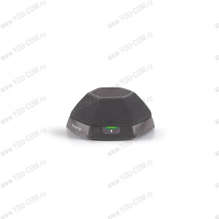 Микрофон BIAMP Devio DTM-1