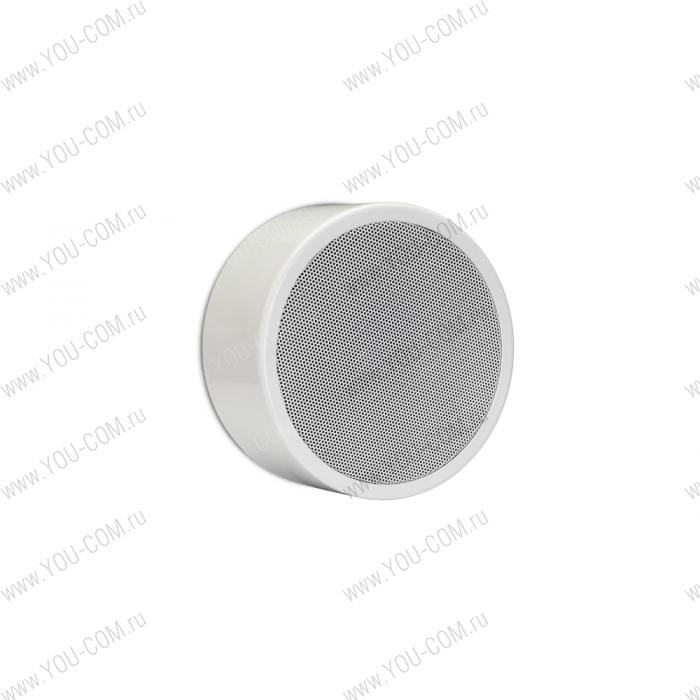 Акустическая система пассивная APART (BIAMP) EN-SM6T10-W