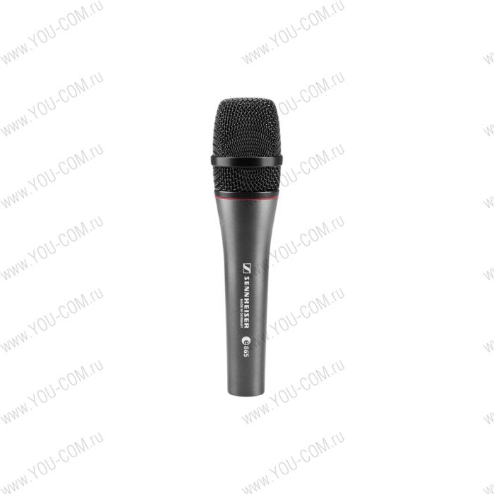 Микрофон Sennheiser E 865